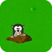 MOLE.X